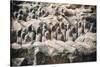 China 10MKm2 Collection - Terracotta Army-Philippe Hugonnard-Stretched Canvas