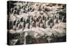 China 10MKm2 Collection - Terracotta Army-Philippe Hugonnard-Stretched Canvas