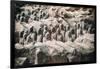 China 10MKm2 Collection - Terracotta Army-Philippe Hugonnard-Framed Photographic Print