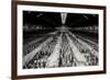 China 10MKm2 Collection - Terracotta Army-Philippe Hugonnard-Framed Photographic Print