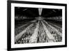 China 10MKm2 Collection - Terracotta Army-Philippe Hugonnard-Framed Photographic Print