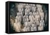 China 10MKm2 Collection - Terracotta Army-Philippe Hugonnard-Framed Stretched Canvas