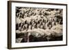 China 10MKm2 Collection - Terracotta Army-Philippe Hugonnard-Framed Photographic Print