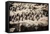 China 10MKm2 Collection - Terracotta Army-Philippe Hugonnard-Framed Stretched Canvas