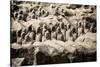 China 10MKm2 Collection - Terracotta Army-Philippe Hugonnard-Stretched Canvas