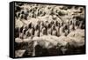 China 10MKm2 Collection - Terracotta Army-Philippe Hugonnard-Framed Stretched Canvas