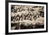 China 10MKm2 Collection - Terracotta Army-Philippe Hugonnard-Framed Photographic Print