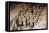 China 10MKm2 Collection - Terracotta Army-Philippe Hugonnard-Framed Stretched Canvas