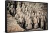 China 10MKm2 Collection - Terracotta Army-Philippe Hugonnard-Framed Stretched Canvas