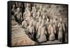 China 10MKm2 Collection - Terracotta Army-Philippe Hugonnard-Framed Stretched Canvas