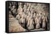 China 10MKm2 Collection - Terracotta Army-Philippe Hugonnard-Framed Stretched Canvas