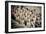 China 10MKm2 Collection - Terracotta Army-Philippe Hugonnard-Framed Photographic Print