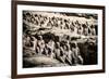 China 10MKm2 Collection - Terracotta Army-Philippe Hugonnard-Framed Photographic Print