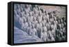 China 10MKm2 Collection - Terracotta Army-Philippe Hugonnard-Framed Stretched Canvas