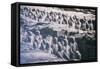 China 10MKm2 Collection - Terracotta Army-Philippe Hugonnard-Framed Stretched Canvas