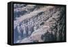 China 10MKm2 Collection - Terracotta Army-Philippe Hugonnard-Framed Stretched Canvas