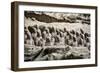 China 10MKm2 Collection - Terracotta Army-Philippe Hugonnard-Framed Photographic Print