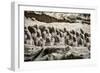 China 10MKm2 Collection - Terracotta Army-Philippe Hugonnard-Framed Photographic Print