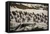 China 10MKm2 Collection - Terracotta Army-Philippe Hugonnard-Framed Stretched Canvas