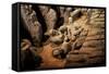 China 10MKm2 Collection - Terracotta Army-Philippe Hugonnard-Framed Stretched Canvas