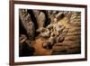 China 10MKm2 Collection - Terracotta Army-Philippe Hugonnard-Framed Photographic Print