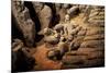 China 10MKm2 Collection - Terracotta Army-Philippe Hugonnard-Mounted Photographic Print