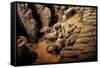 China 10MKm2 Collection - Terracotta Army-Philippe Hugonnard-Framed Stretched Canvas