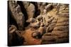 China 10MKm2 Collection - Terracotta Army-Philippe Hugonnard-Stretched Canvas