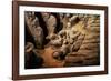 China 10MKm2 Collection - Terracotta Army-Philippe Hugonnard-Framed Photographic Print