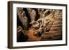 China 10MKm2 Collection - Terracotta Army-Philippe Hugonnard-Framed Photographic Print