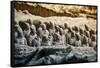 China 10MKm2 Collection - Terracotta Army-Philippe Hugonnard-Framed Stretched Canvas