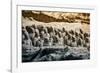 China 10MKm2 Collection - Terracotta Army-Philippe Hugonnard-Framed Photographic Print