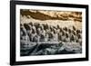 China 10MKm2 Collection - Terracotta Army-Philippe Hugonnard-Framed Photographic Print