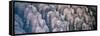 China 10MKm2 Collection - Terracotta Army-Philippe Hugonnard-Framed Stretched Canvas