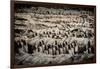 China 10MKm2 Collection - Terracotta Army-Philippe Hugonnard-Framed Photographic Print