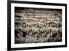 China 10MKm2 Collection - Terracotta Army-Philippe Hugonnard-Framed Photographic Print