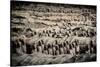 China 10MKm2 Collection - Terracotta Army-Philippe Hugonnard-Stretched Canvas