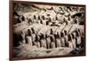 China 10MKm2 Collection - Terracotta Army-Philippe Hugonnard-Framed Photographic Print