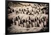 China 10MKm2 Collection - Terracotta Army-Philippe Hugonnard-Framed Photographic Print