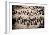 China 10MKm2 Collection - Terracotta Army-Philippe Hugonnard-Framed Photographic Print