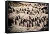 China 10MKm2 Collection - Terracotta Army-Philippe Hugonnard-Framed Stretched Canvas