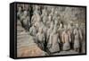 China 10MKm2 Collection - Terracotta Army-Philippe Hugonnard-Framed Stretched Canvas