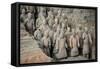 China 10MKm2 Collection - Terracotta Army-Philippe Hugonnard-Framed Stretched Canvas