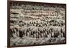 China 10MKm2 Collection - Terracotta Army-Philippe Hugonnard-Framed Photographic Print