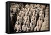 China 10MKm2 Collection - Terracotta Army-Philippe Hugonnard-Framed Stretched Canvas