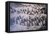 China 10MKm2 Collection - Terracotta Army-Philippe Hugonnard-Framed Stretched Canvas