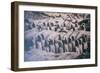 China 10MKm2 Collection - Terracotta Army-Philippe Hugonnard-Framed Photographic Print