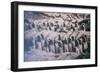 China 10MKm2 Collection - Terracotta Army-Philippe Hugonnard-Framed Photographic Print