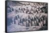 China 10MKm2 Collection - Terracotta Army-Philippe Hugonnard-Framed Stretched Canvas