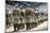 China 10MKm2 Collection - Terracotta Army-Philippe Hugonnard-Mounted Photographic Print